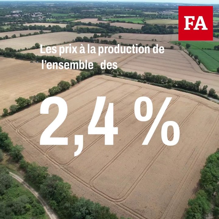 Céréales et oléagineux plombent les prix agricoles