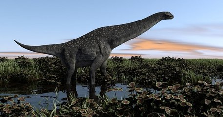 Australie : les archéologues ont découvert le crâne presque complet d'un titanosaure d'il y a 95 millions d'années