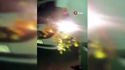 Le serpent vipère est entré dans le capot du véhicule, le citoyen relâché dans la nature