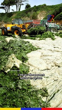 Algues vertes : Les dangers liés à leur prolifération et leur origine agro-industrielle l Speech