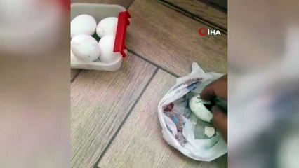 BİM'den aldığı yumurtaların hepsi bozuk çıktı