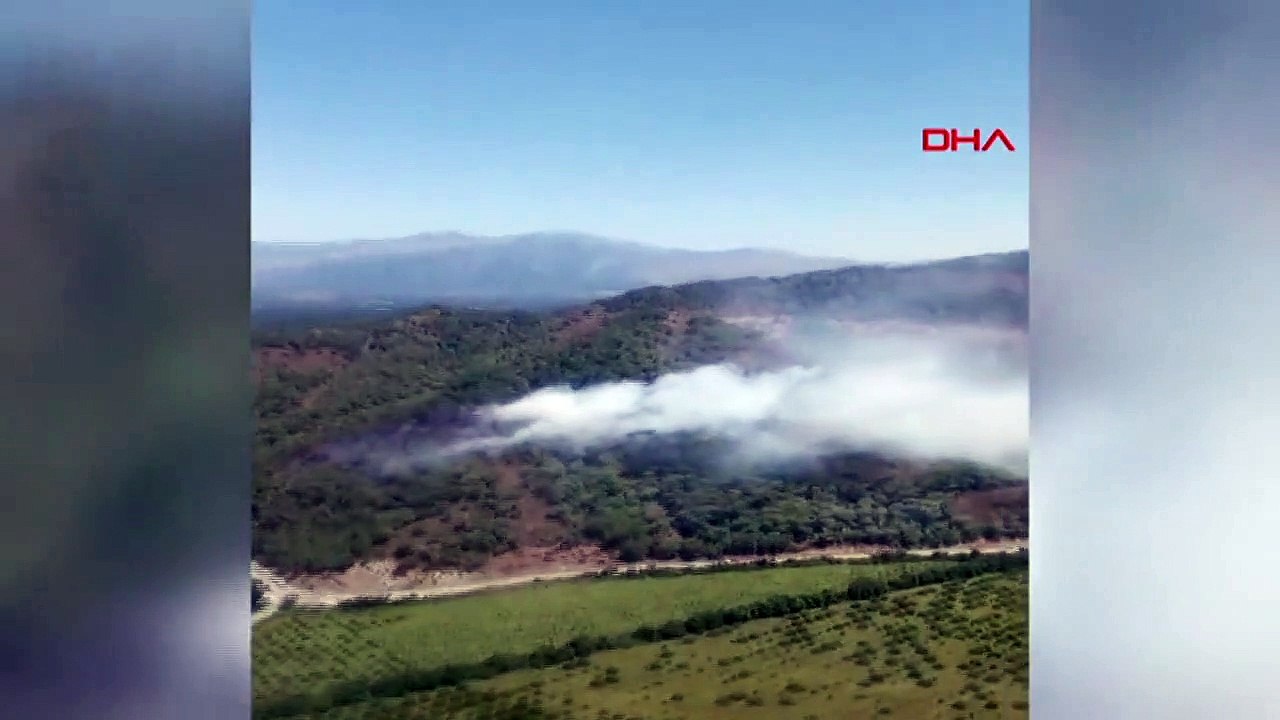 FEU DE FORÊT À MUGLA
