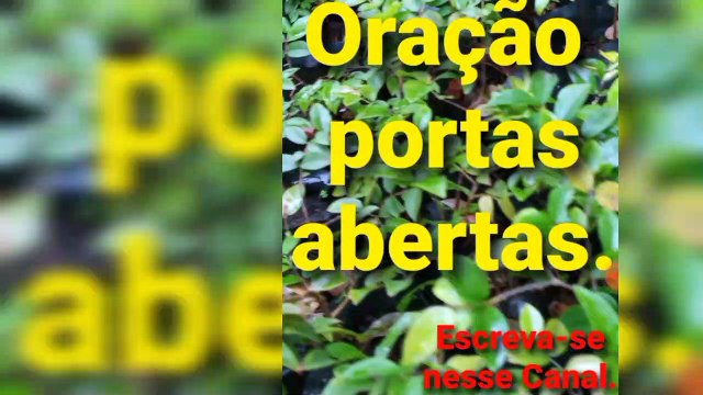 Oração portas abertas. Bênçãos de Deus.