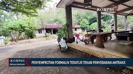 Warga Gunungkidul Semprot Formalin untuk Cegah Penyebaran Antraks