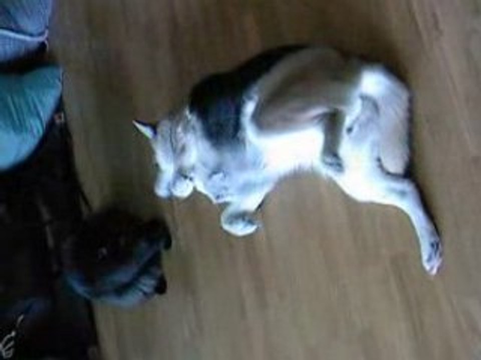 fun