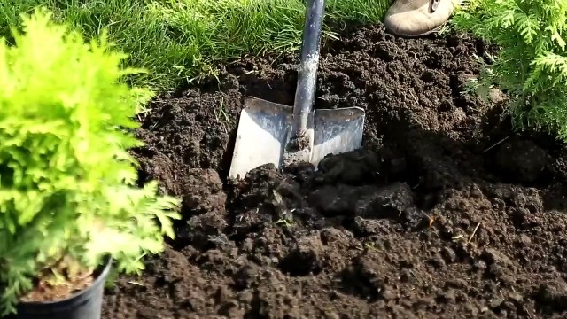 5 RARE Natural Disasters Caught On Camera