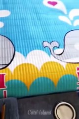 Try Not To Laugh Challenge  Funny Cats and Dogs 2023