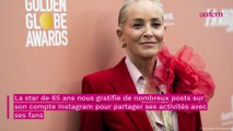 Sharon Stone sculpturale, cheveux gris et maillot de bain sexy, elle subjugue ses fans