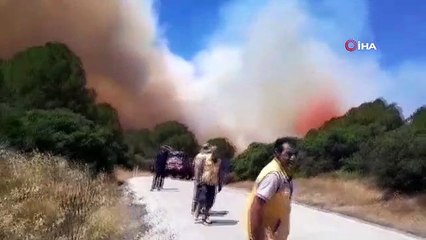 İzmir'in iki ilçesinde aynı anda orman yangını