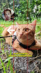 Comment prendre en photo son animal ?