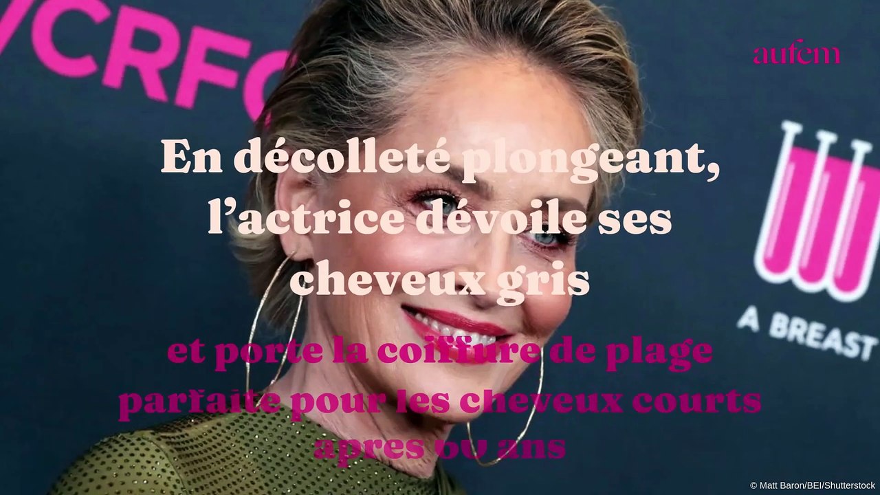 Sharon Stone sculpturale, cheveux gris et maillot de bain sexy, elle subjugue ses fans