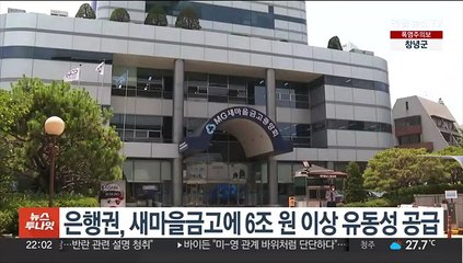 은행권, 새마을금고에 6조 원 이상 유동성 공급