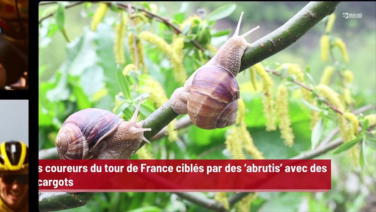 Les coureurs du tour de France ciblés par des ‘abrutis’ avec des escargots !