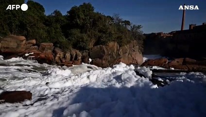 Brasile, il fiume Tiete coperto da schiuma tossica