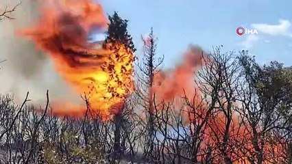 İzmir'de orman yangınlarına müdahale sürüyor