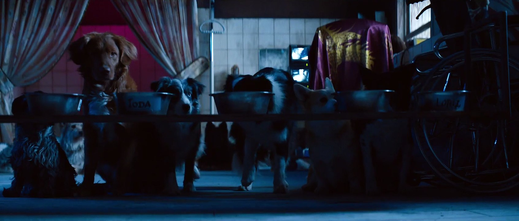 DogMan (2023) - Official Trailer