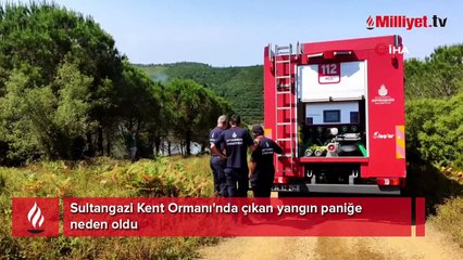 Sultangazi Kent Ormanı'nda yangın