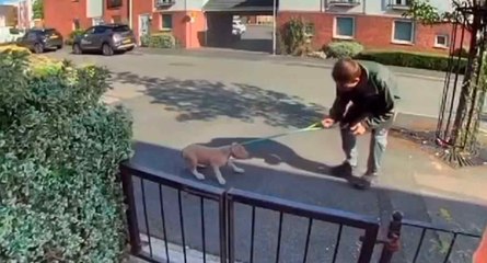 Man hits the head of defenseless puppy after pulling it by the leash.