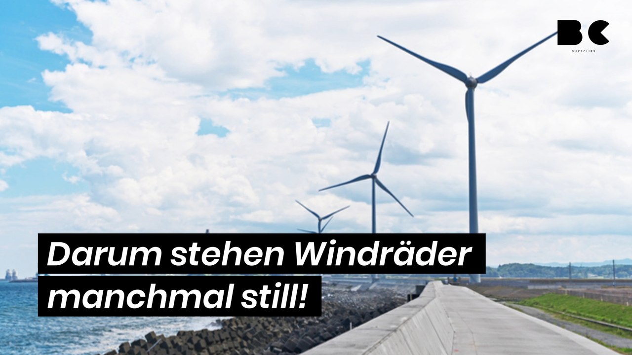 Darum stehen Windräder manchmal still!