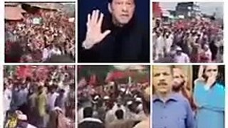 Protest with Imran Khan ❤️