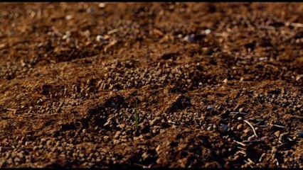 Connexia presenta il primo Report di Sostenibilità