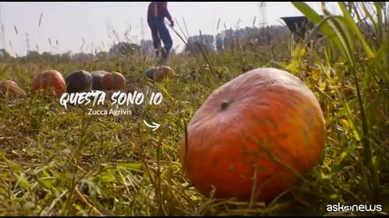 Connexia presenta il primo Report di Sostenibilit?