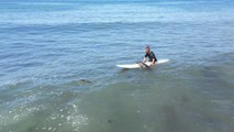 Determined seal finds comfort on surfer's longboard and refuses to leave