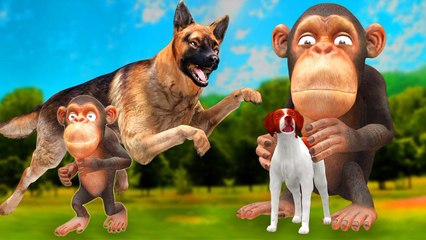 The dog Story ll Kids Moral Stories