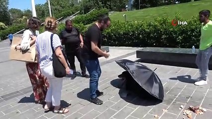 Taksim'de polis ve vatandaşlar yaralı köpek için seferber oldu