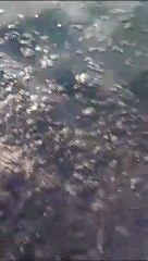 Pescadores flagram manchas de óleo no mar da Baía de Todos-os-Santos
