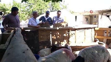 Şahinbey'in destekleriyle hayvancılık gelişiyor