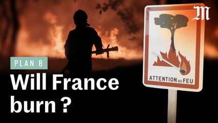 Is France ready to face forest fires?