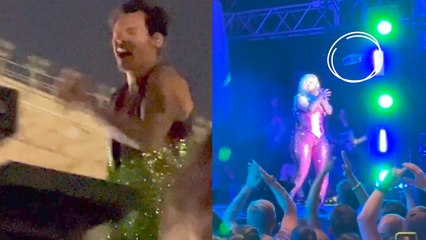 Harry Styles, Drake, Pink... des artistes plus que jamais victimes de jet d'objet sur scène