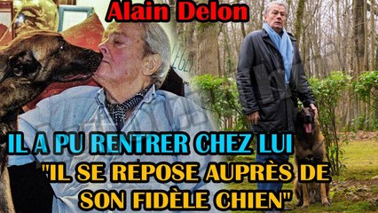  Alain Delon : C'est une nouvelle importante concernant l'acteur et son chien LOUBO.