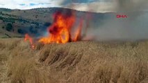 Tunceli'de Tarlada Çıkan Yangında 10 Dönüm Ekili Buğday Yandı