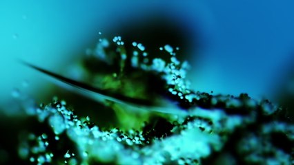 ANNA - Let You In (Max Cooper Remix) (Visualiser)