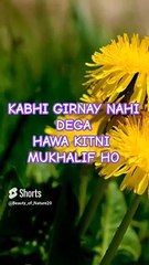 #Beautiful Nazam#Beautiful Nature#Shorts#Shorts with lyrics#