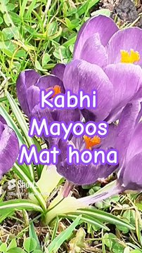 #Beautiful Nazam#Beautiful Nature #Shorts#Shorts with lyrics#