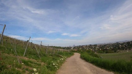 Wien am Rad: Über die Zierleitengasse durch die Weinberge