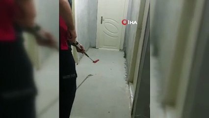 3 buçuk metrelik yılan böyle yakalandı