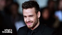 Liam Payne Breaks Silence After 100 Day Rehab Stay