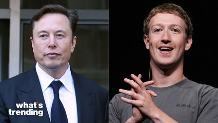 Elon Musk And Mark Zuckerberg Agree To Cage Fight