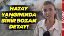 Bu Haber Sadece Sözcü TV'de! Hatay Orman Yangınındaki Detay Çileden Çıkarttı