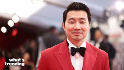 Simu Liu Faces Heat For Calling Out TikToker Who Criticized Him Online