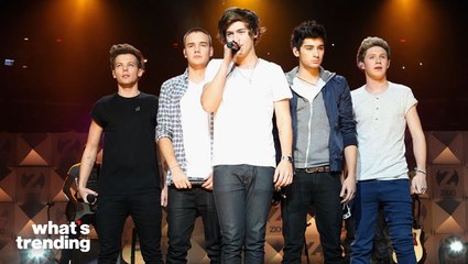 How All of One Direction Really Feels About the Group Years After Splitting Up