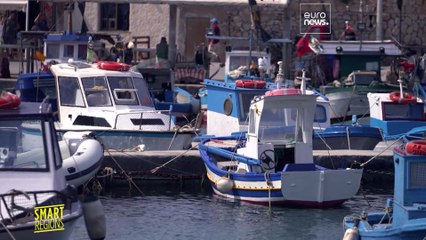 Favignana e Lampedusa, isole verdi grazie a energie rinnovabili e blockchain