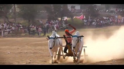 maharashtr pat pratiyogita chapti ox race barghati bhaiya pat