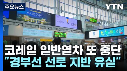 코레일 일반열차 다시 중단..."경부선 선로 지반 유실 발견" / YTN