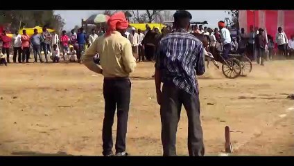 desi indian cow _  Bailgada sharyat mp _ Farmer Video _ barghati