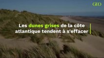 Les dunes grises de la côte atlantique tendent à s'effacer